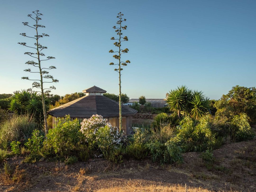 Ayahuasca Retreat in Portugal Behold Retreats